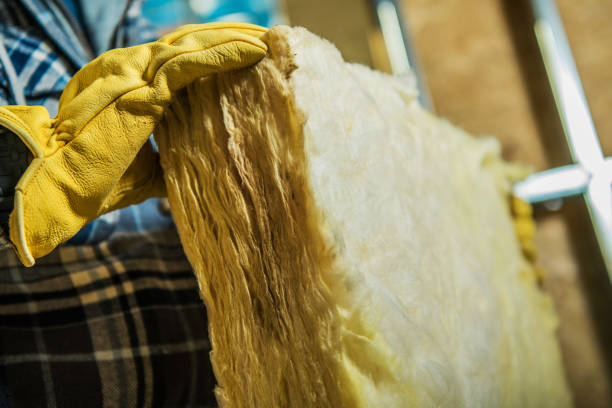 Best Types of Insulation in Triana, AL