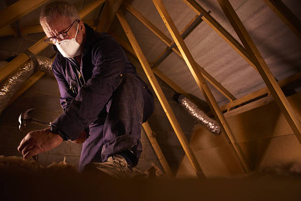 Best Commercial Insulation in Triana, AL