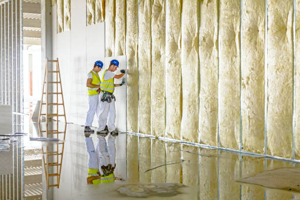 Best Insulation Installation Services in Triana, AL